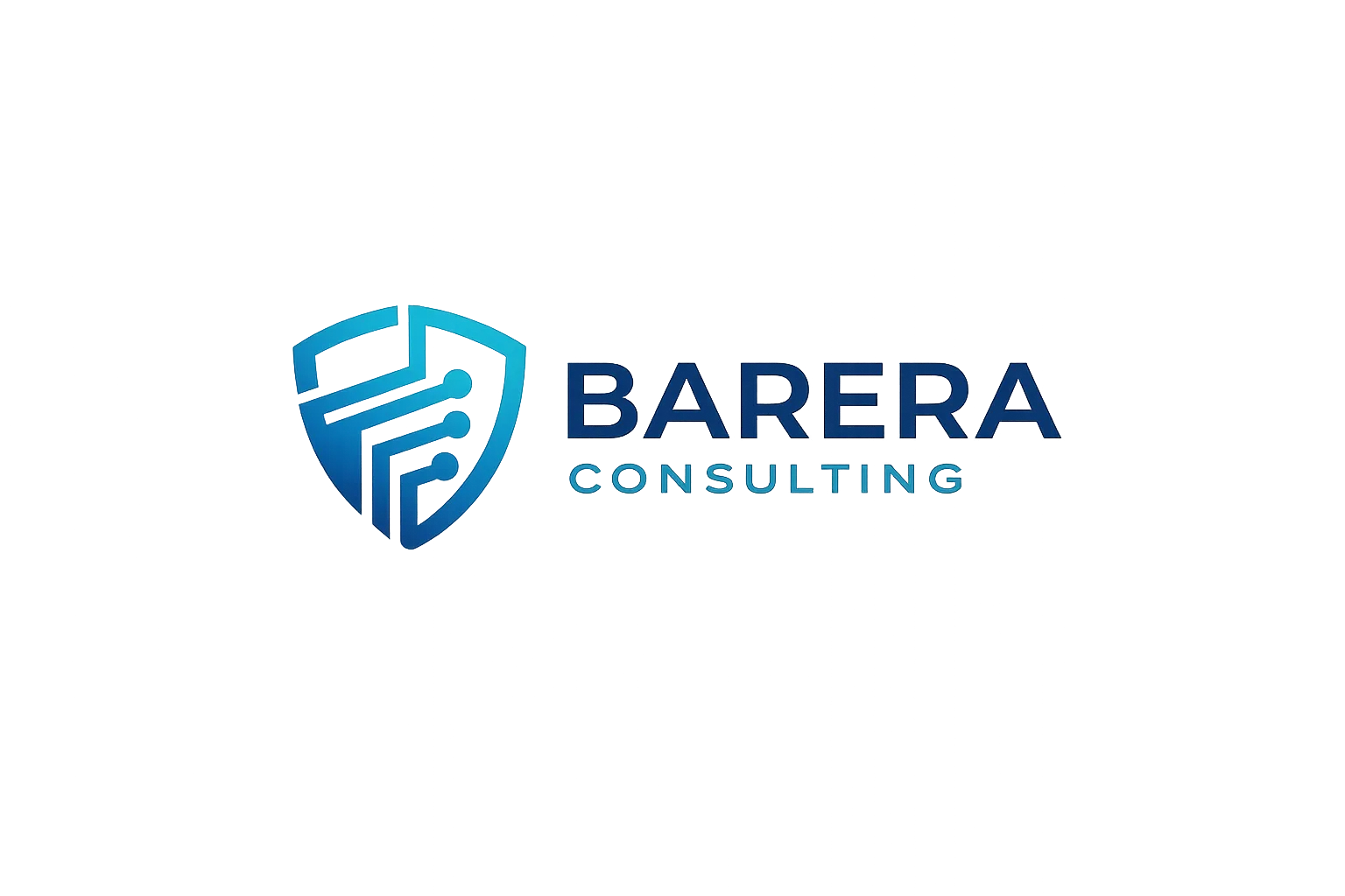 Barera Consulting
